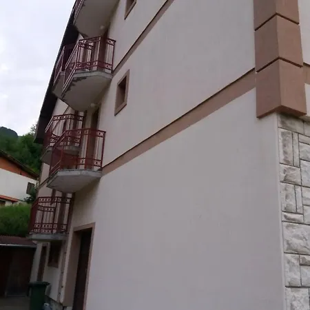 Nikolic Dusica