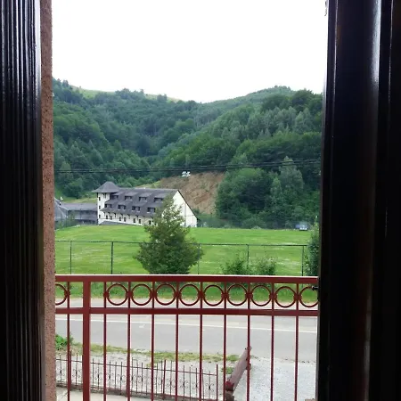 Nikolic Dusica * Brzece