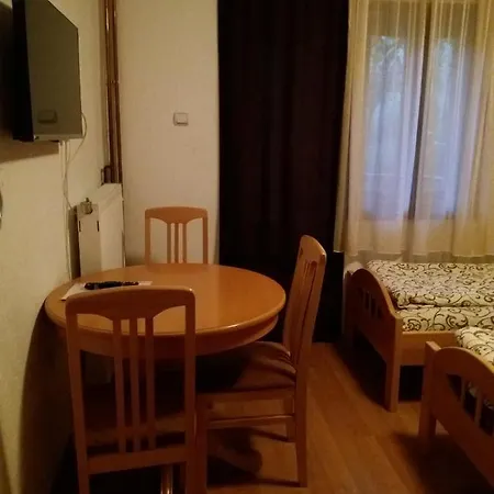 Apartment Nikolic Dusica Brzece
